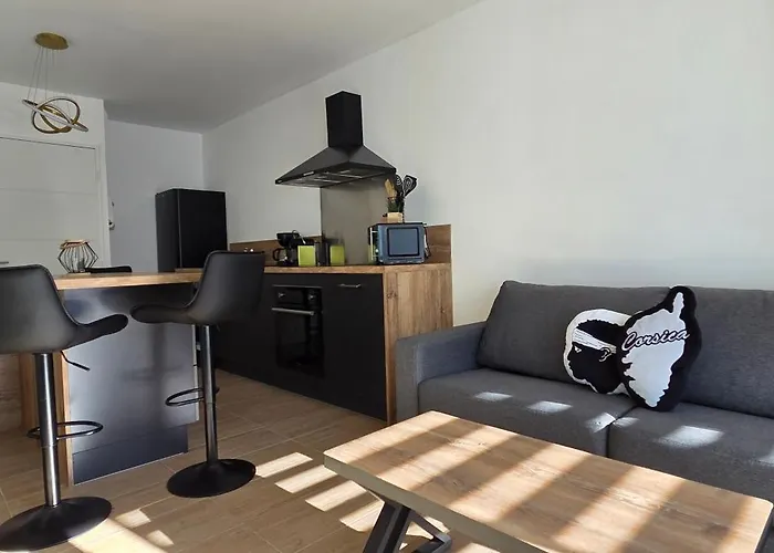 公寓 Joli T2 Cozy, Proche Plages, Terra Doru B02 普罗普里亚诺